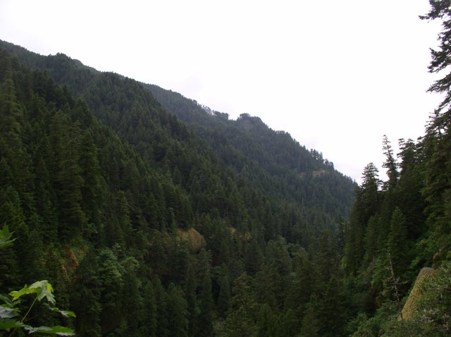 6.03.06 Eagle Creek 044 